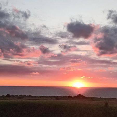 Alby Suite Termoli Eksteriør billede
