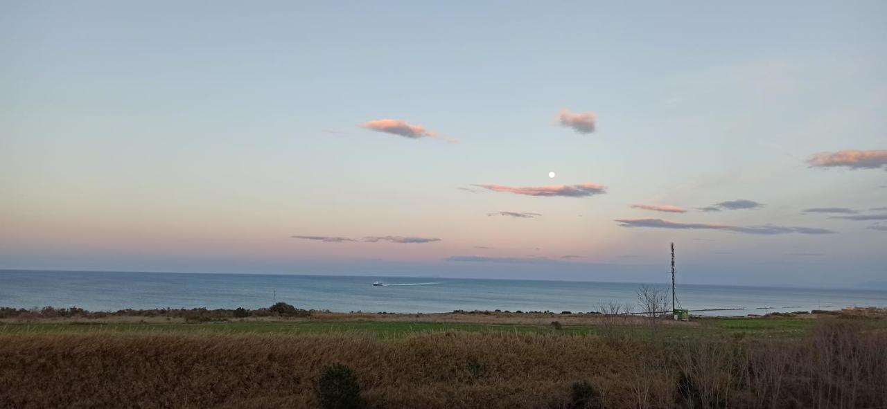 Alby Suite Termoli Eksteriør billede